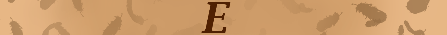 E Tier