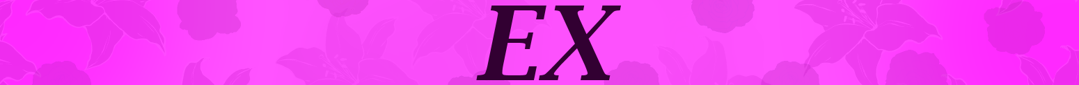 EX Tier